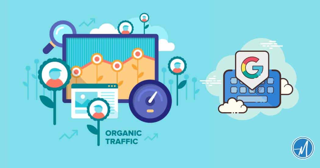 Organic Traffic via Google 